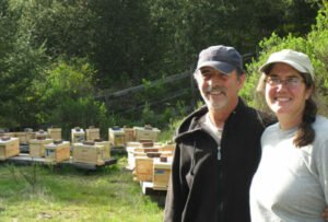 Bonnie bee company consulting