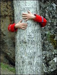 hug tree